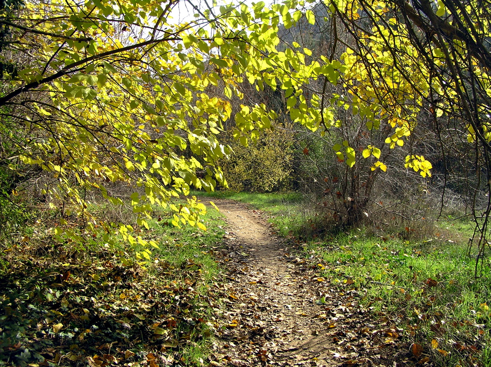 PC020419