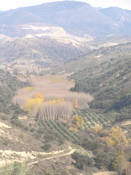 PC020414