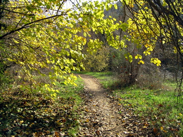 PC020419