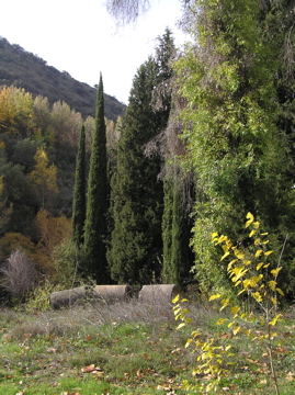 PC020420