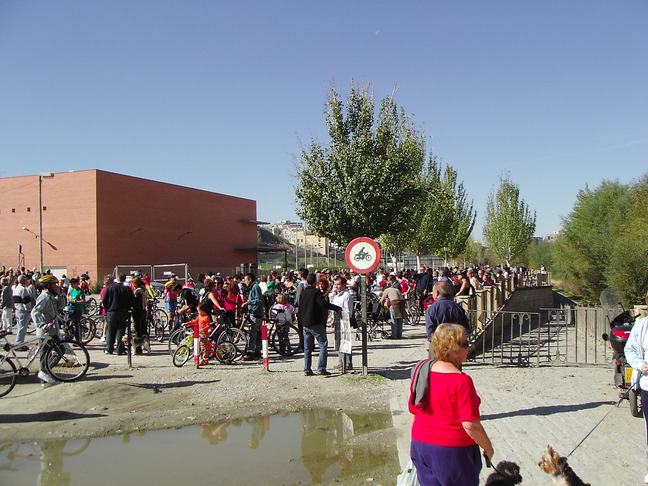 Confluyen las manifestaciones contra el puente de la Bola de Oro y 'Granada al pedal'